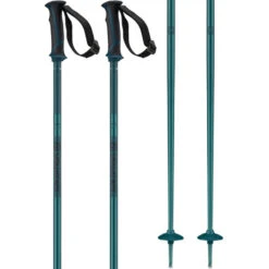 Salomon Arctic Poles Mens - Blue